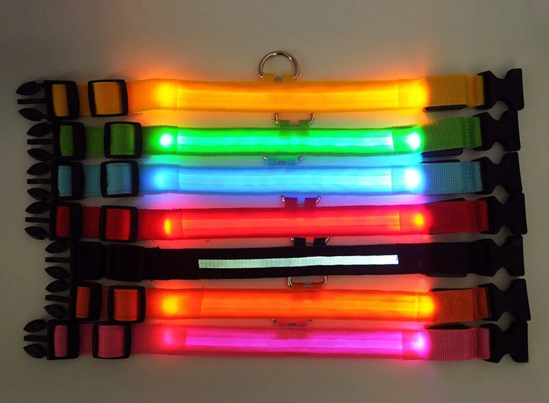 LED Adjustable Dog Collar  ( Waterproof )