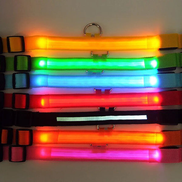 LED Adjustable Dog Collar  ( Waterproof )