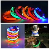 LED Adjustable Dog Collar  ( Waterproof )