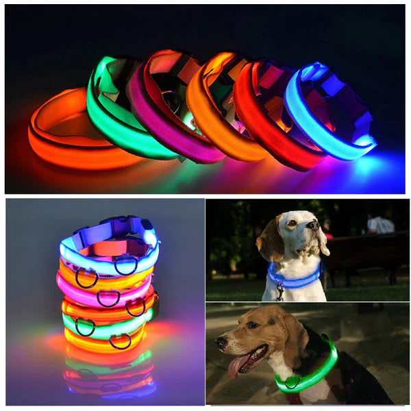 LED Adjustable Dog Collar  ( Waterproof )