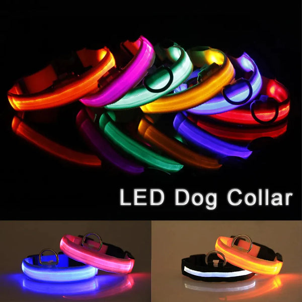 LED Adjustable Dog Collar  ( Waterproof )