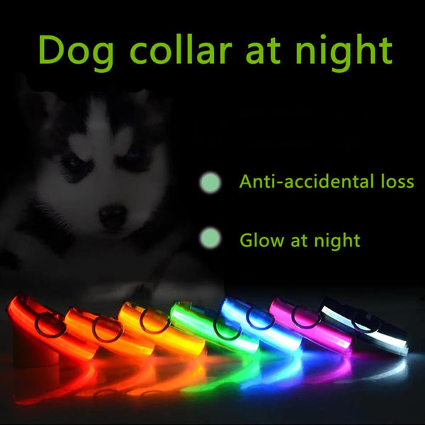 LED Adjustable Dog Collar  ( Waterproof )