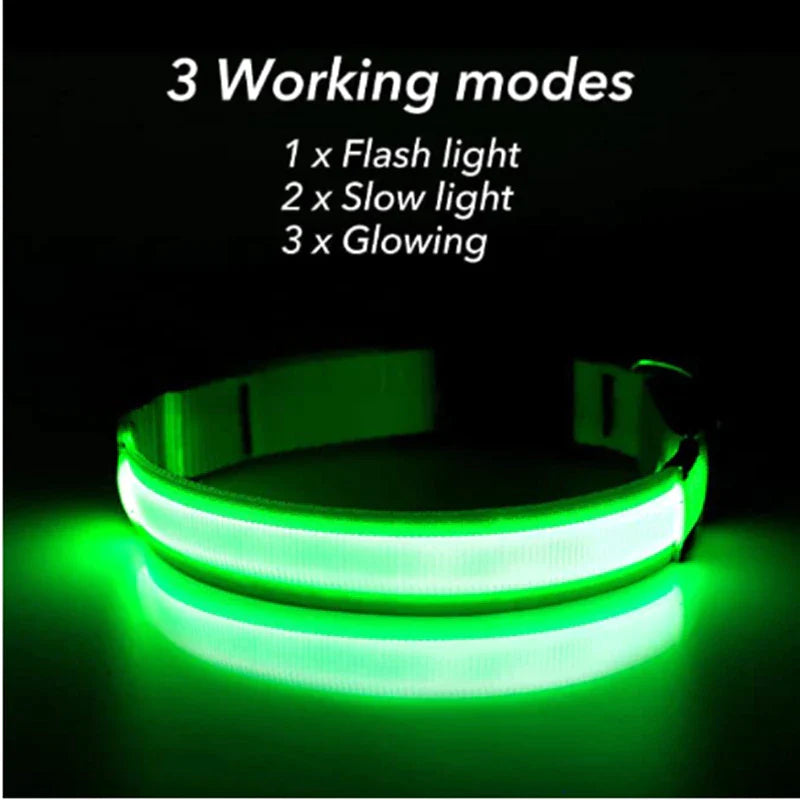 LED Adjustable Dog Collar  ( Waterproof )