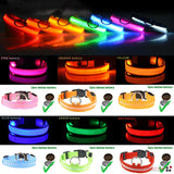 LED Adjustable Dog Collar  ( Waterproof )