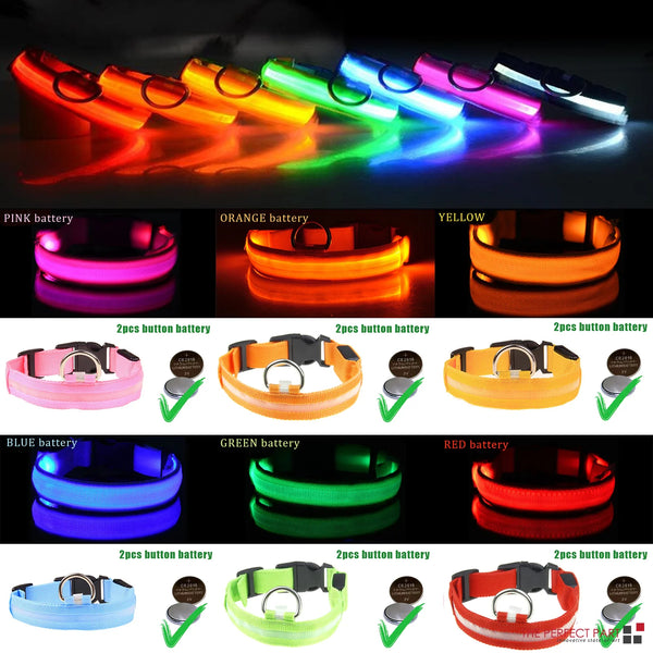 LED Adjustable Dog Collar  ( Waterproof )