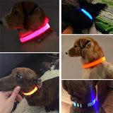 LED Adjustable Dog Collar  ( Waterproof )