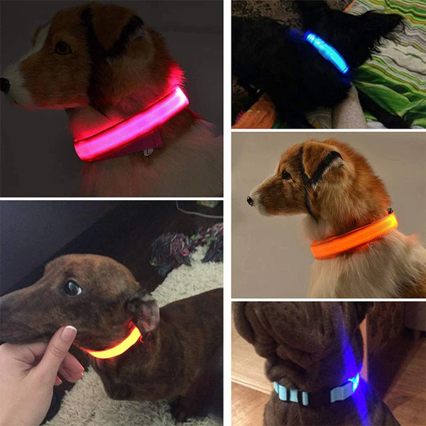 LED Adjustable Dog Collar  ( Waterproof )