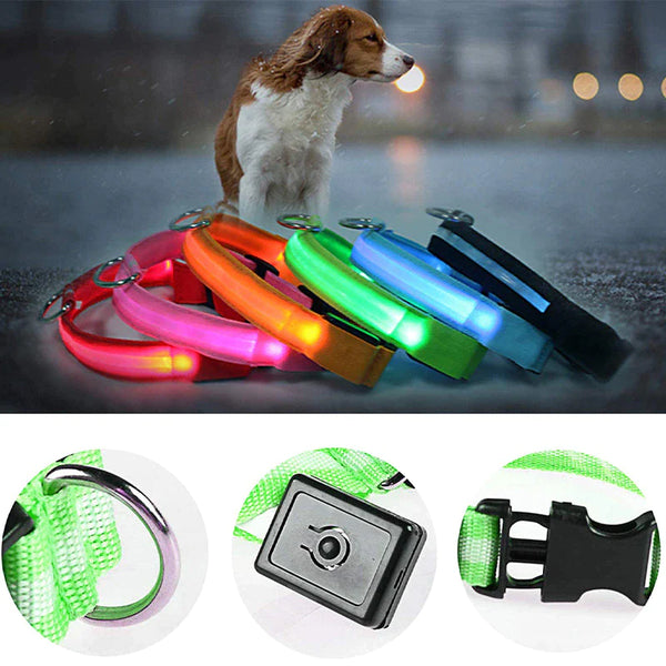 LED Adjustable Dog Collar  ( Waterproof )