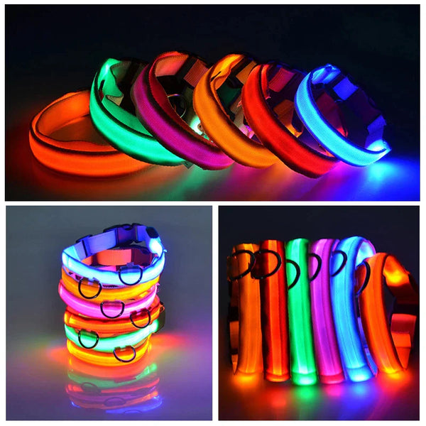 LED Adjustable Dog Collar  ( Waterproof )