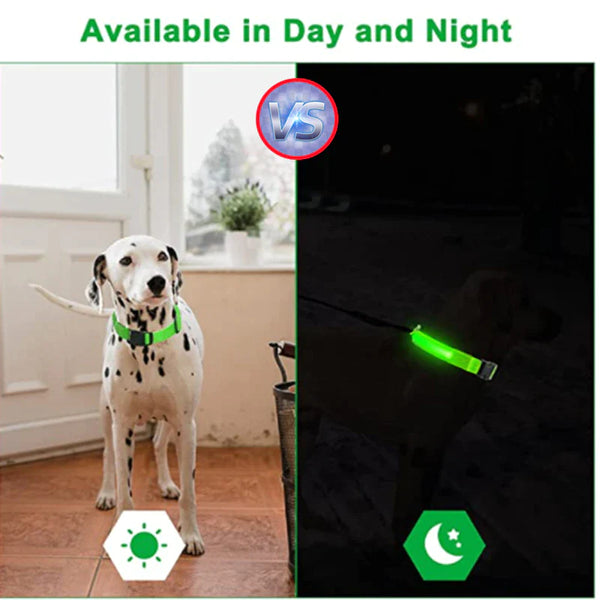 LED Adjustable Dog Collar  ( Waterproof )