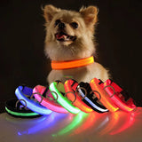 LED Adjustable Dog Collar  ( Waterproof )