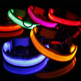 LED Adjustable Dog Collar  ( Waterproof )